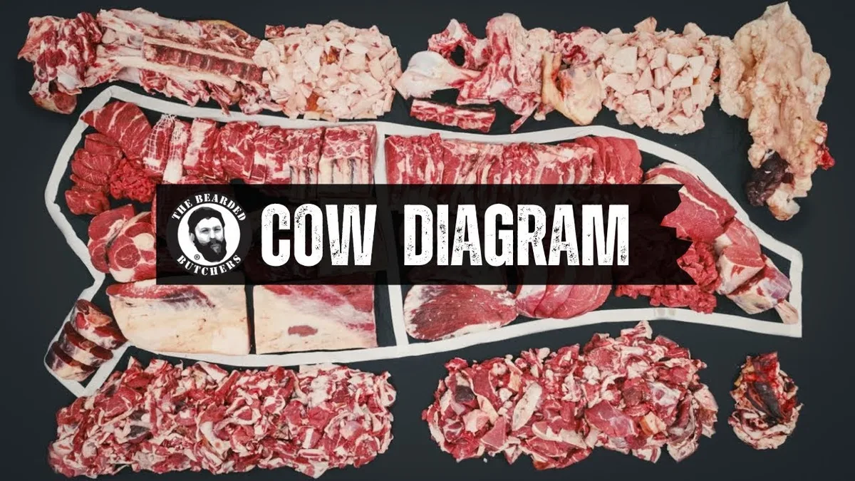 beef cuts diagram