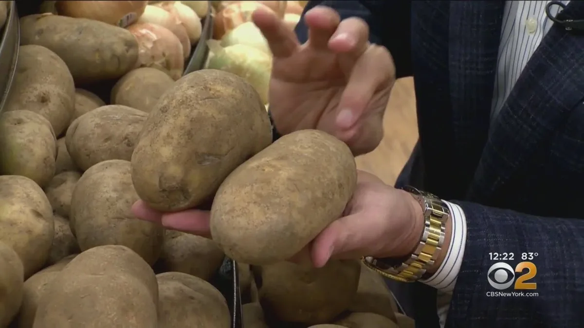 Russet potato